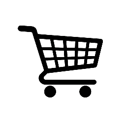 Professional eCommerce Store
